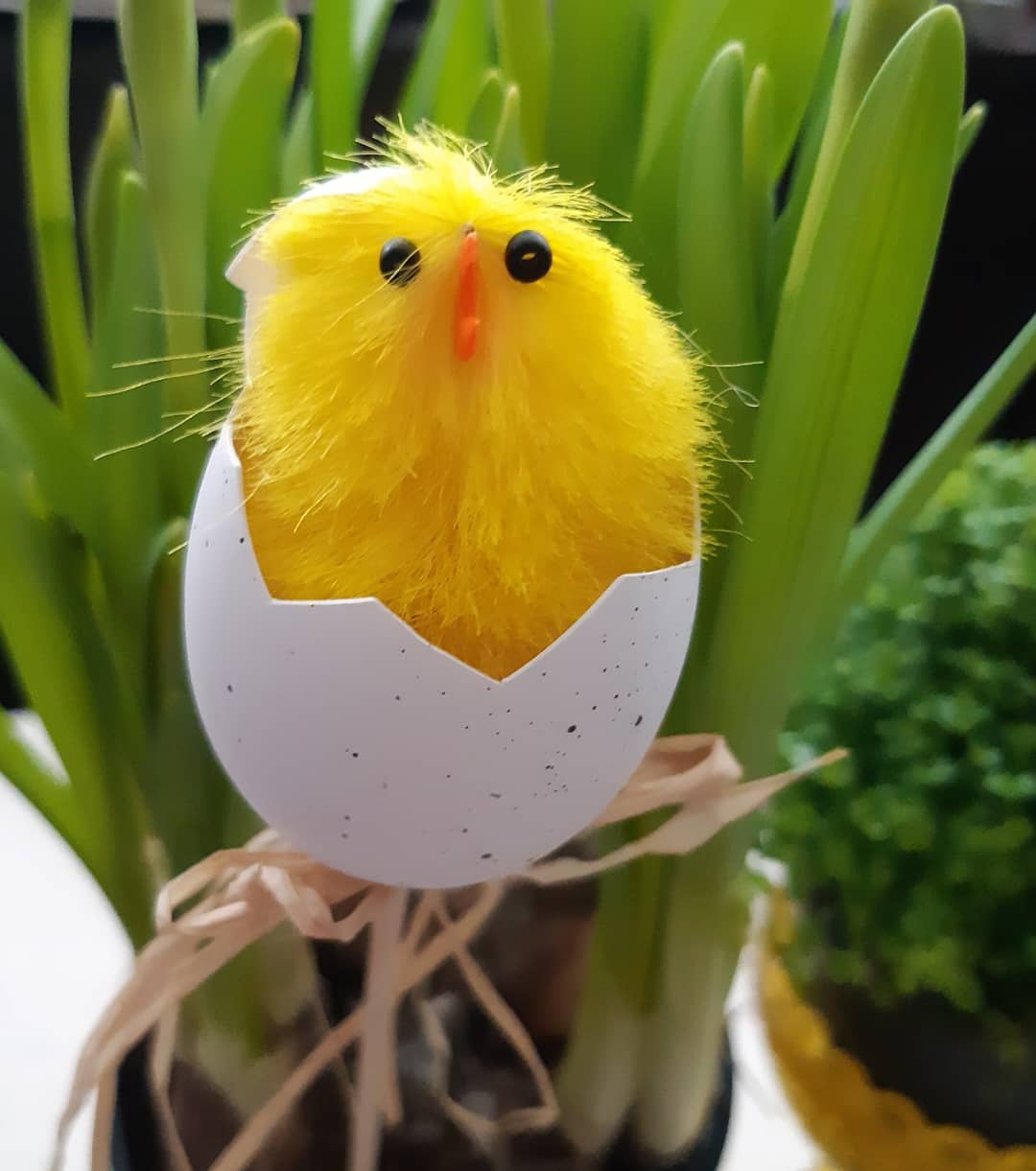 IMG_20200319_201435_708