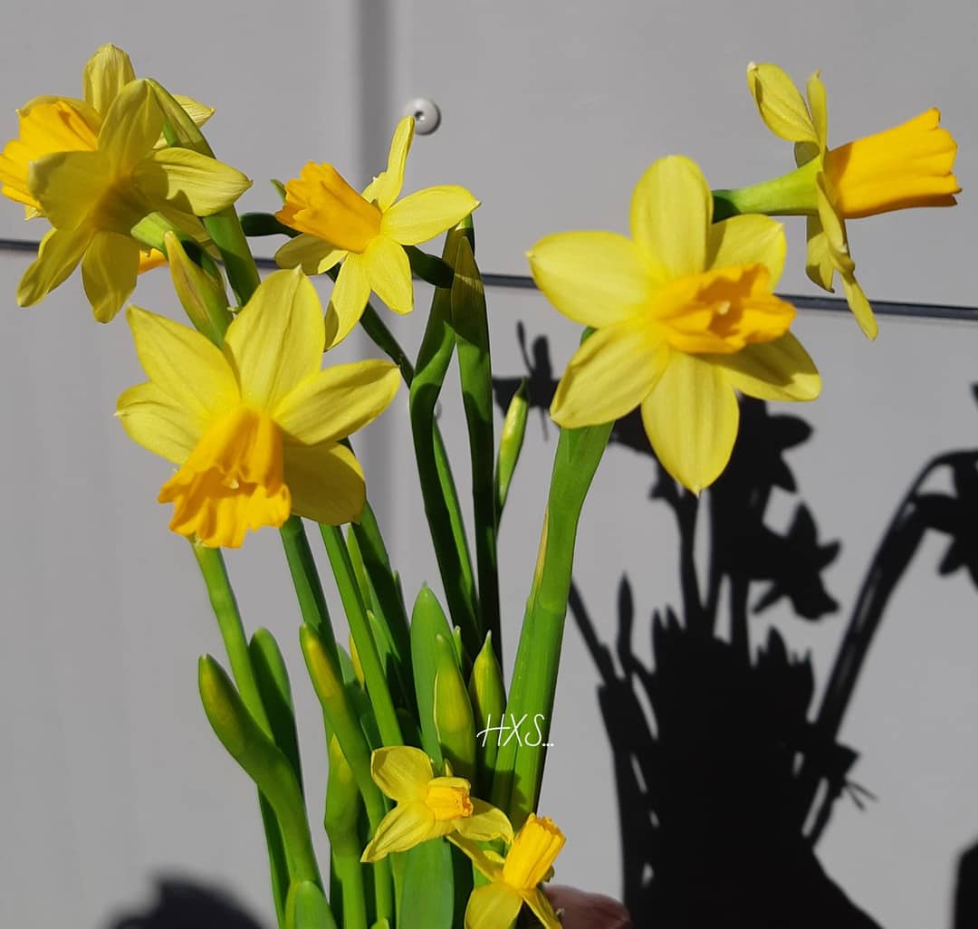 IMG_20200323_092834_616