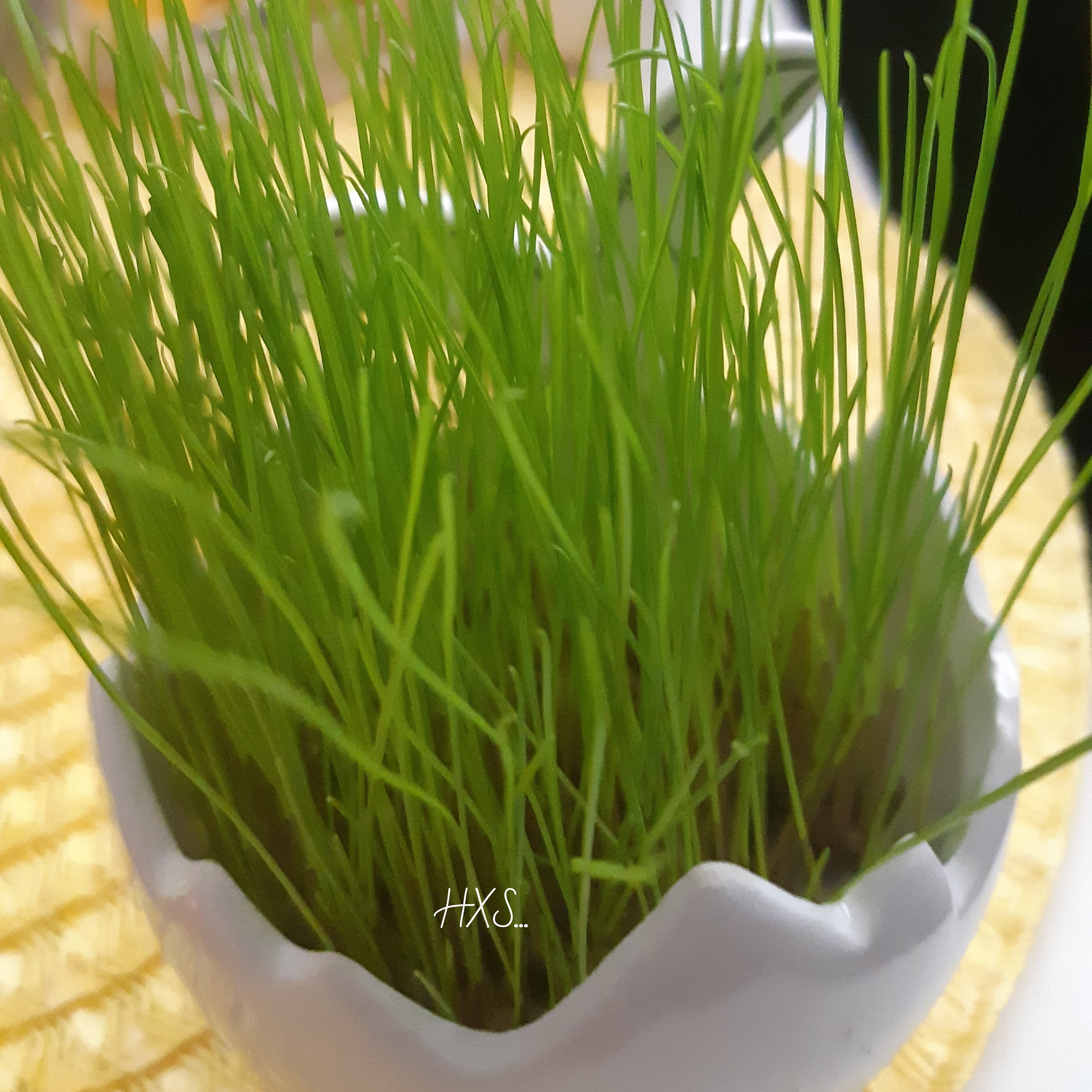 IMG_20200406_173135_426