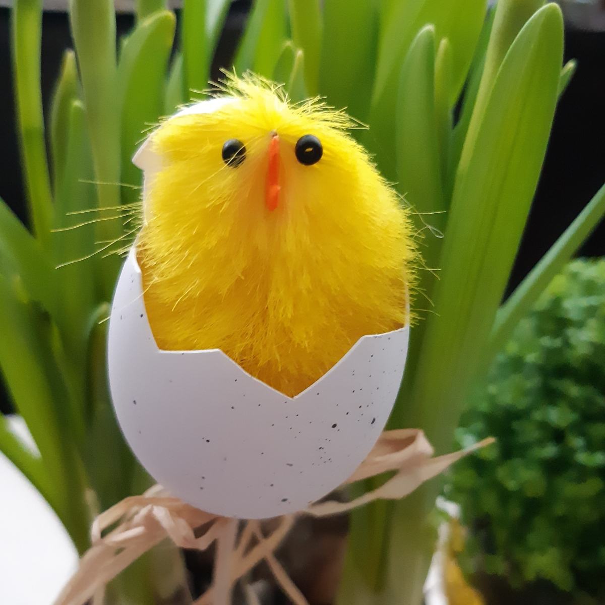 IMG_20200407_093005_228