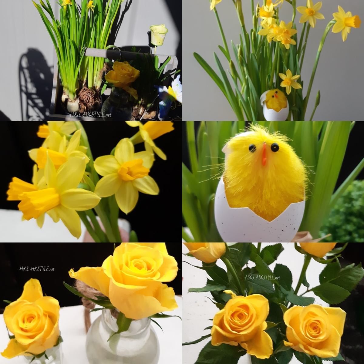 IMG_20200407_161226_838