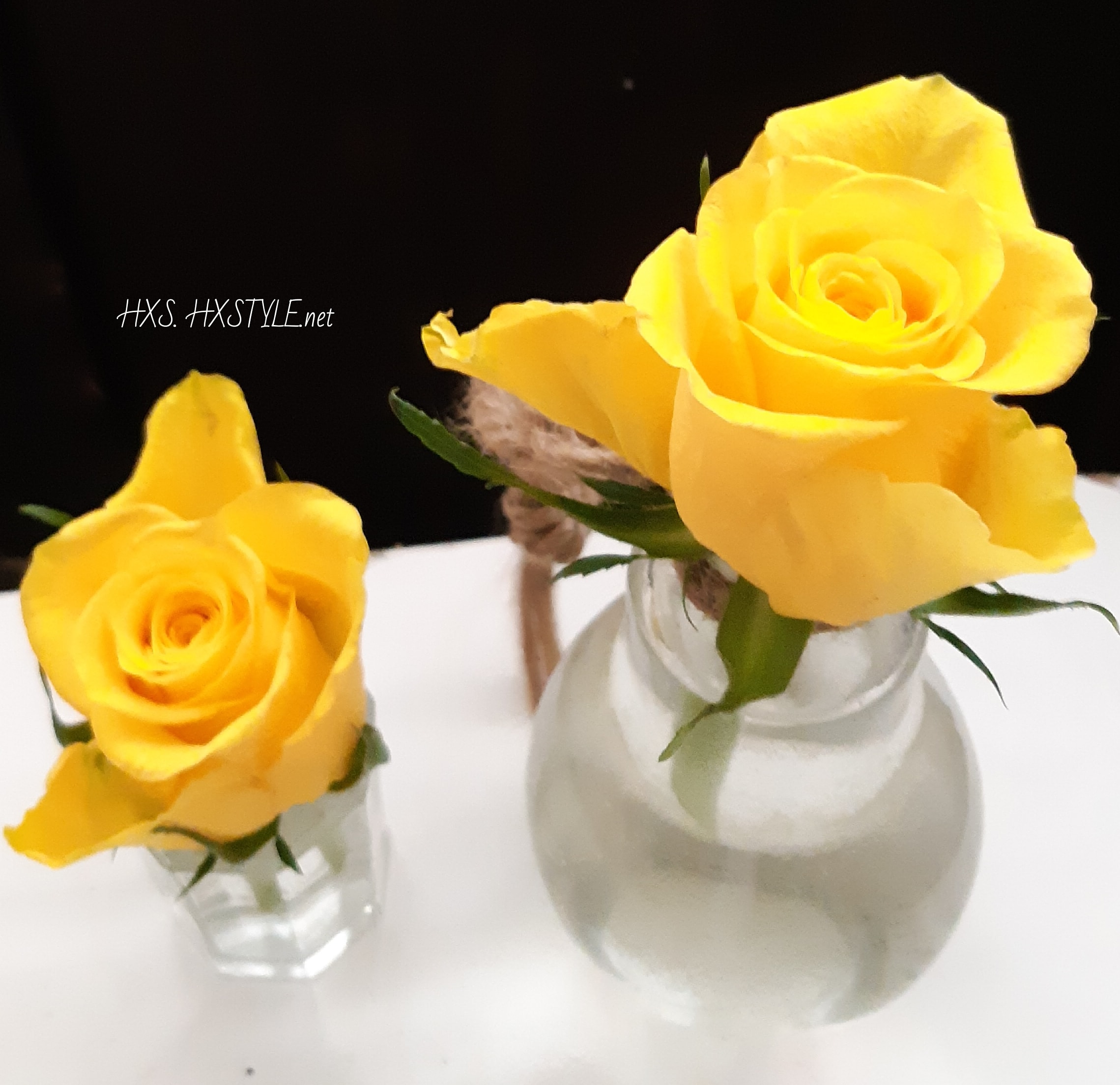 IMG_20200323_090446_206