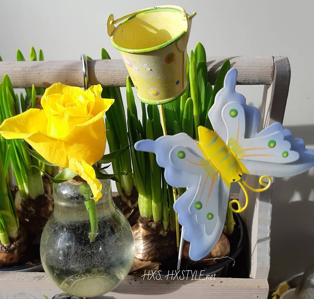 IMG_20200323_092834_613