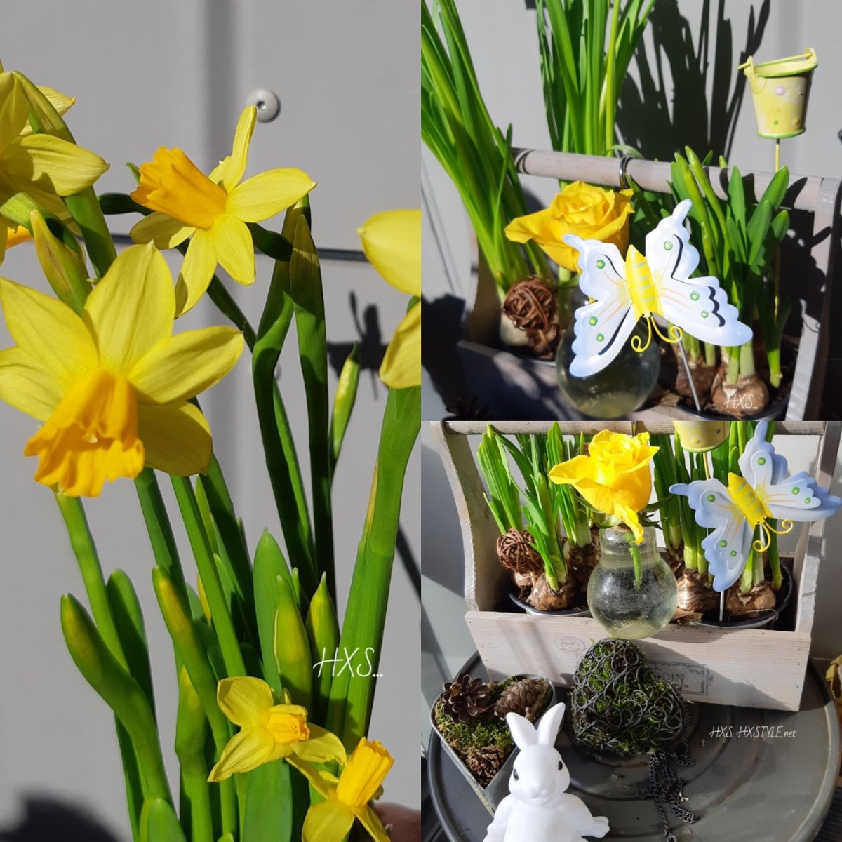 IMG_20200323_173702_096