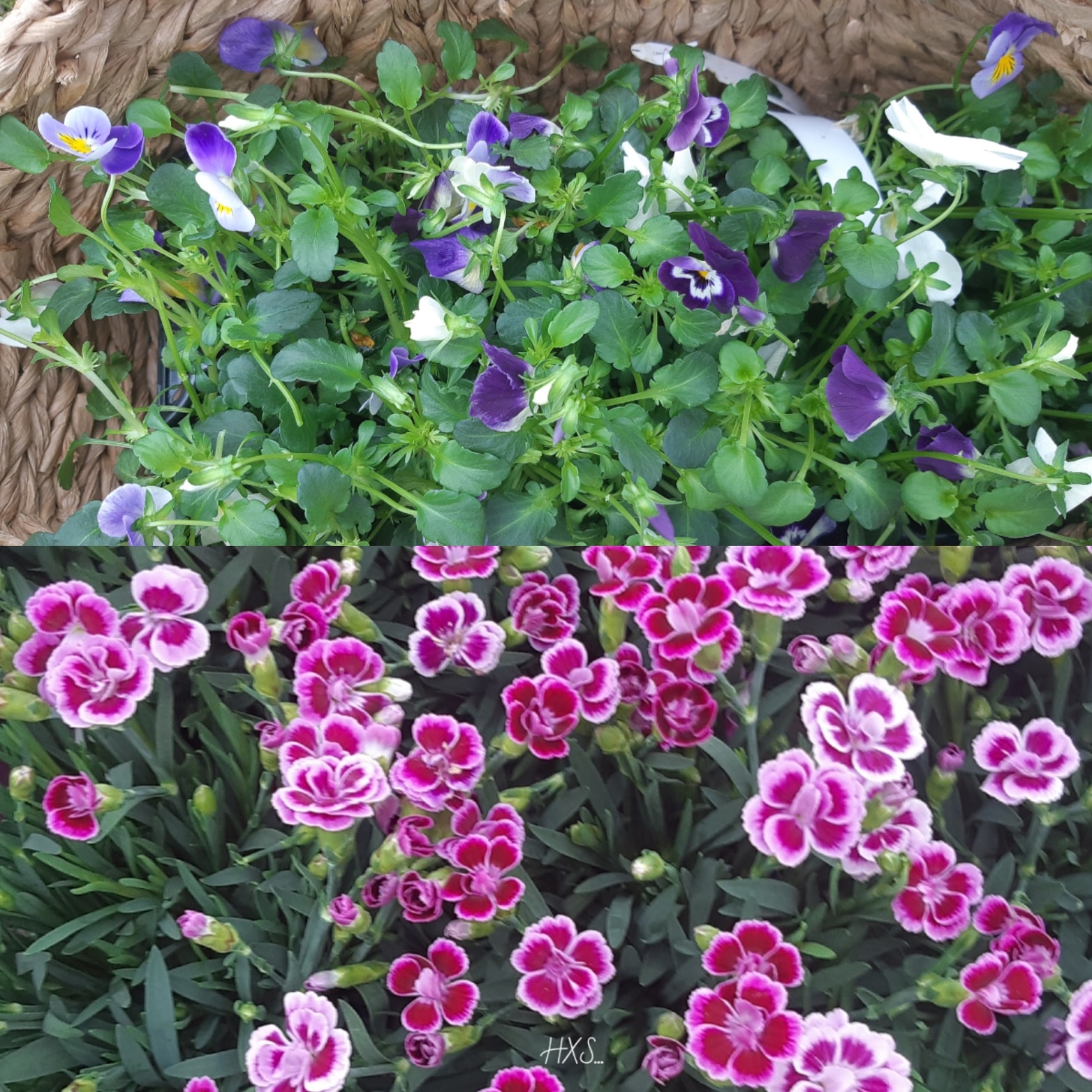 IMG_20200429_162126_134