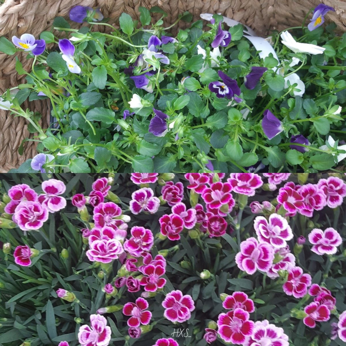 IMG_20200429_162126_134