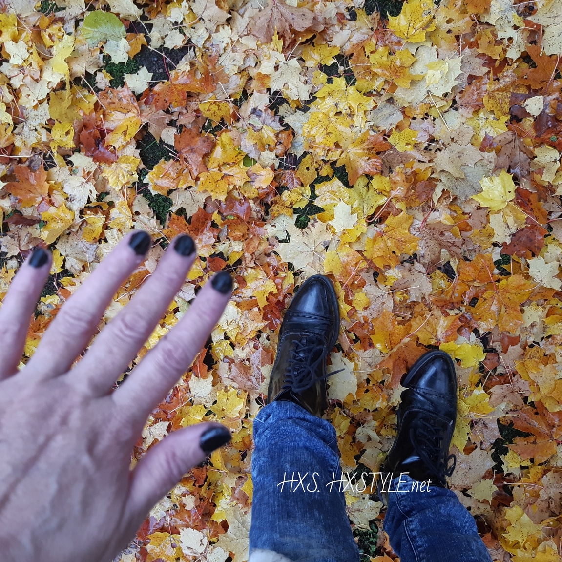 IMG_20191013_095739_322