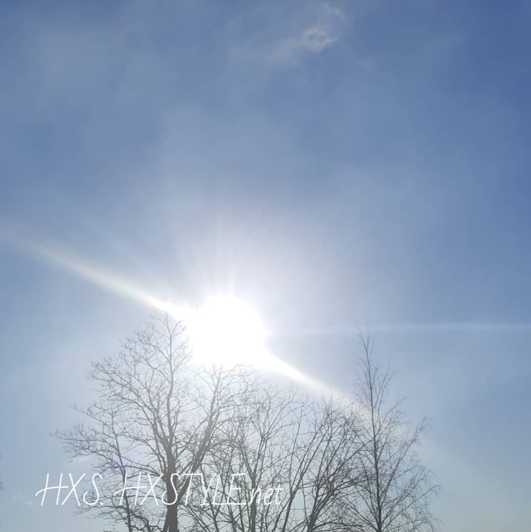 IMG_20200301_095652_446