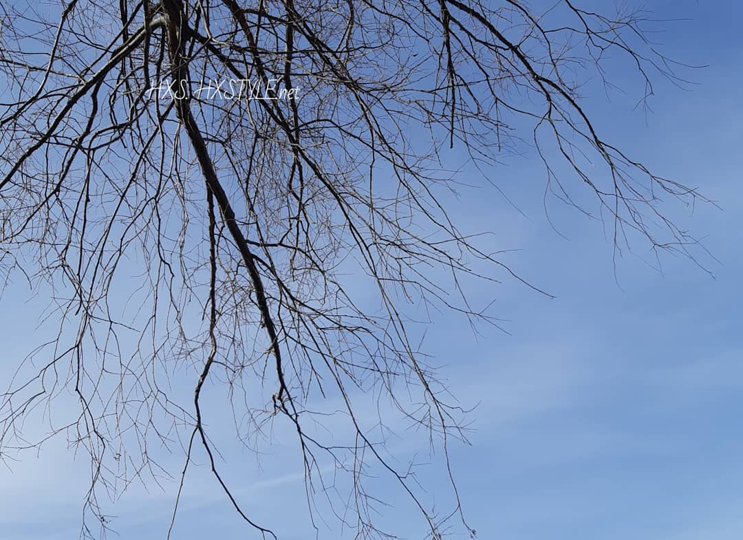 IMG_20200417_184558_857