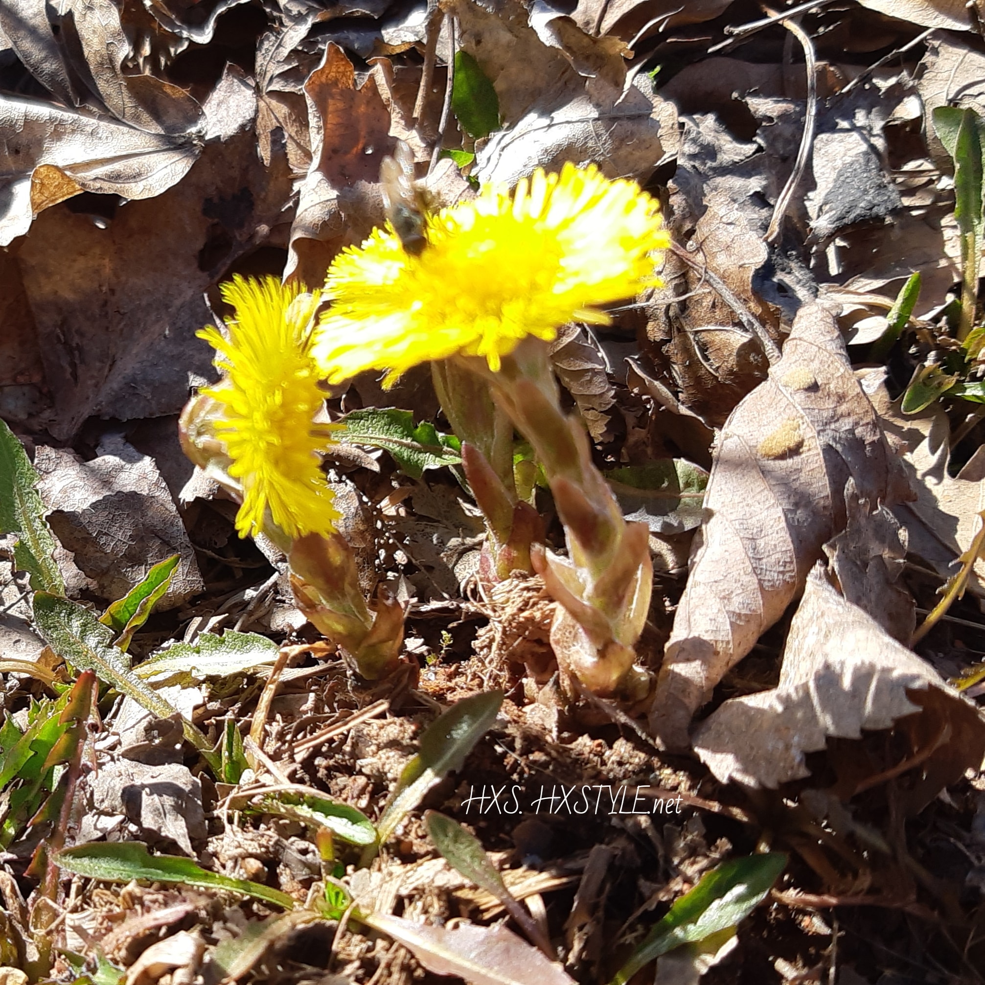 IMG_20200426_165420_845