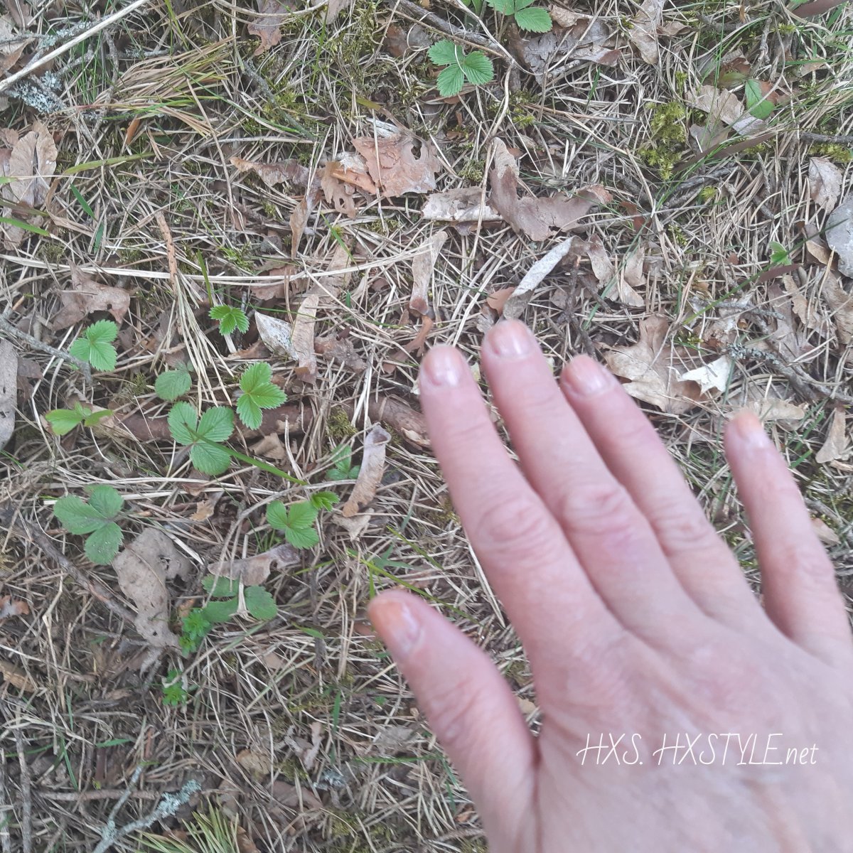 IMG_20200508_100010_371