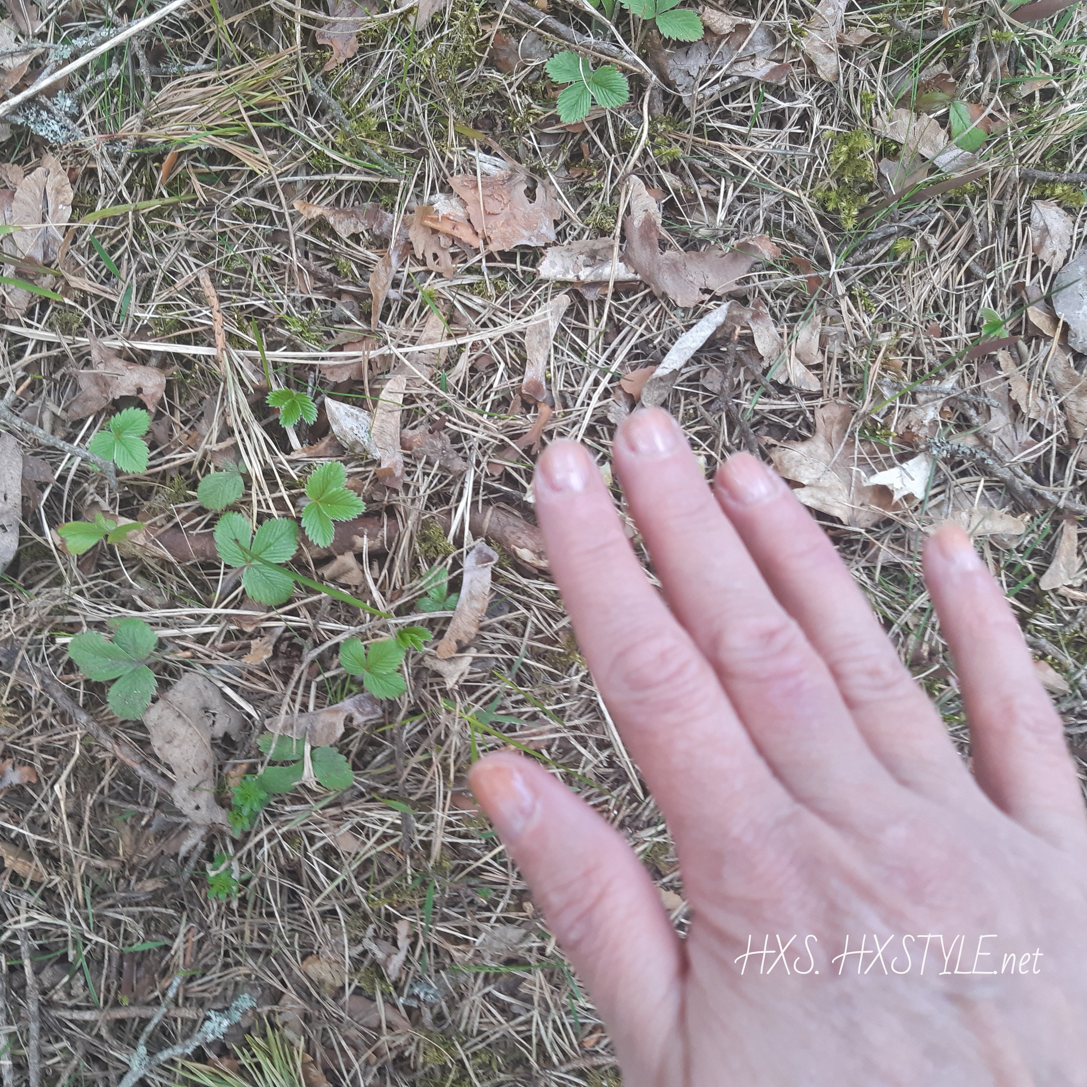 IMG_20200508_100010_371