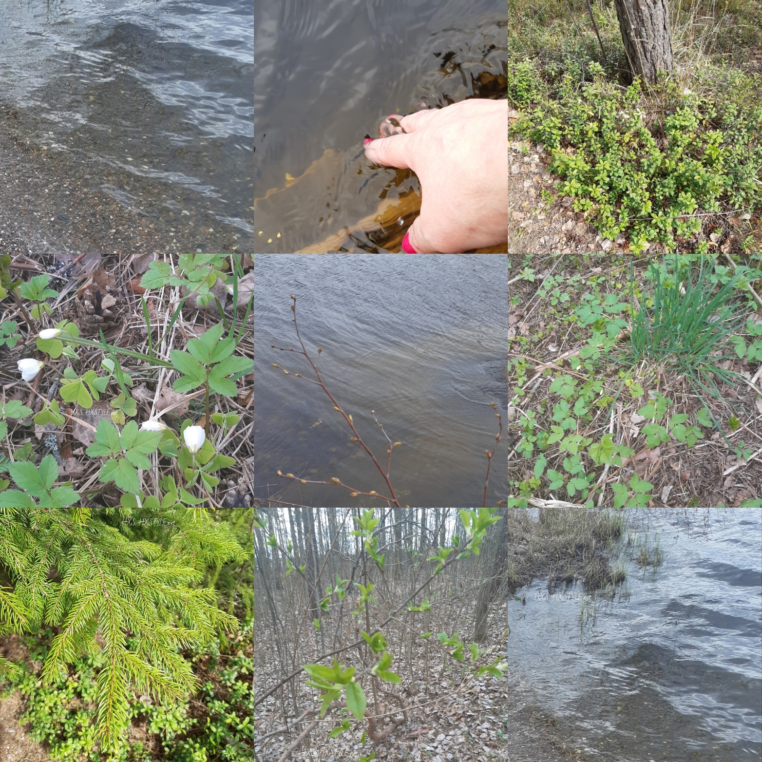 IMG_20200511_190901_330