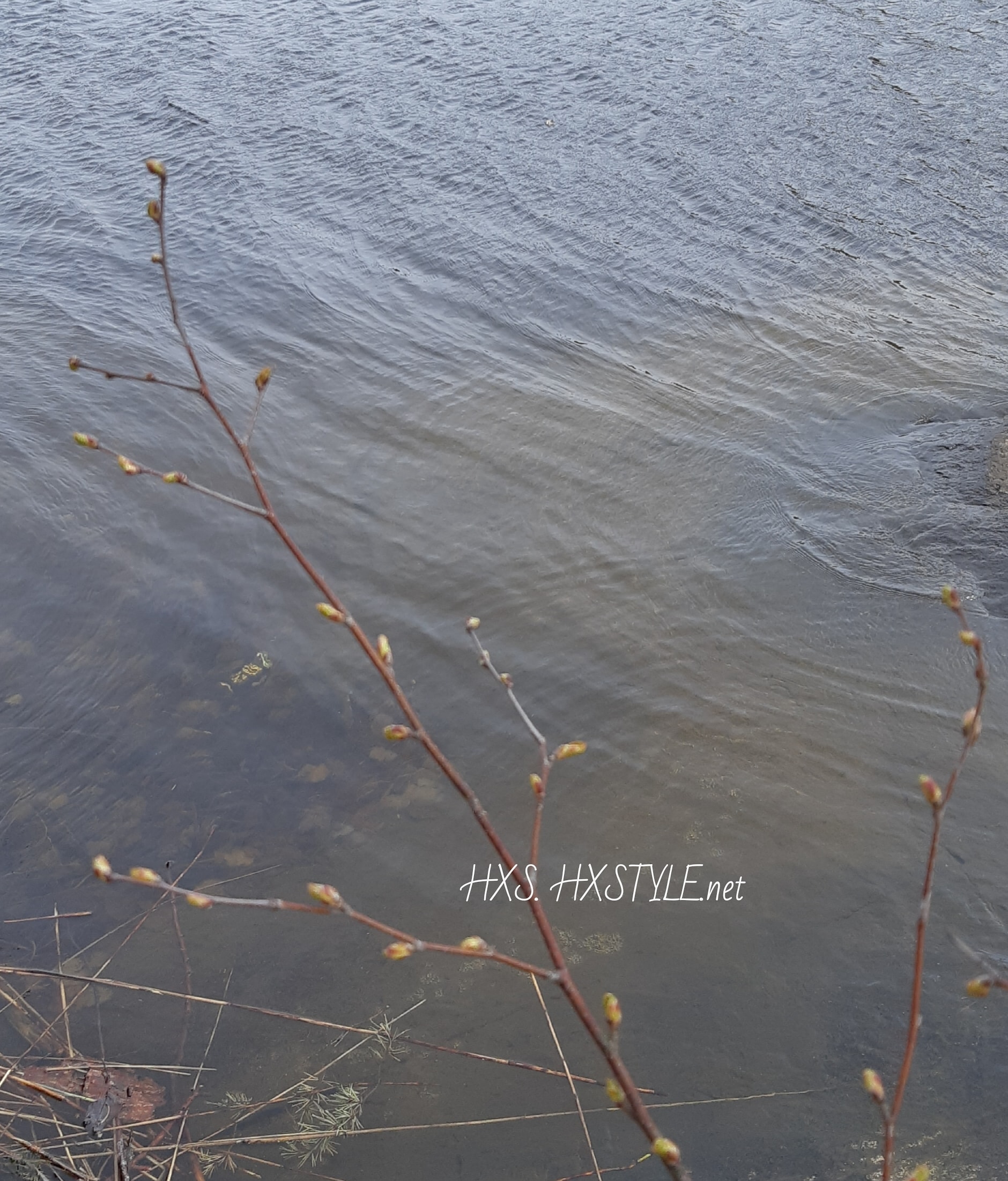 IMG_20200511_203936_162