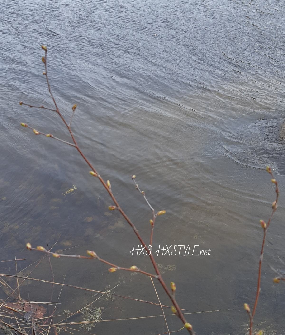 IMG_20200511_203936_162