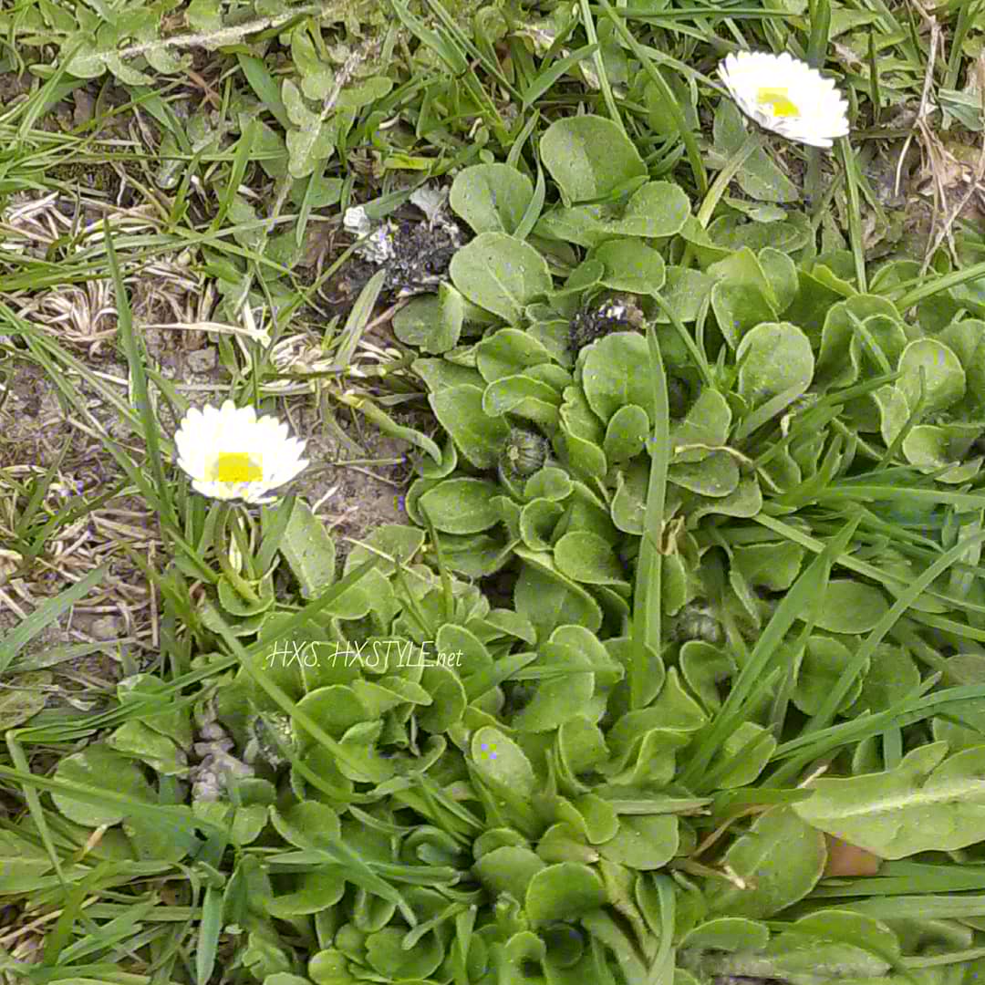 IMG_20200512_094743_043