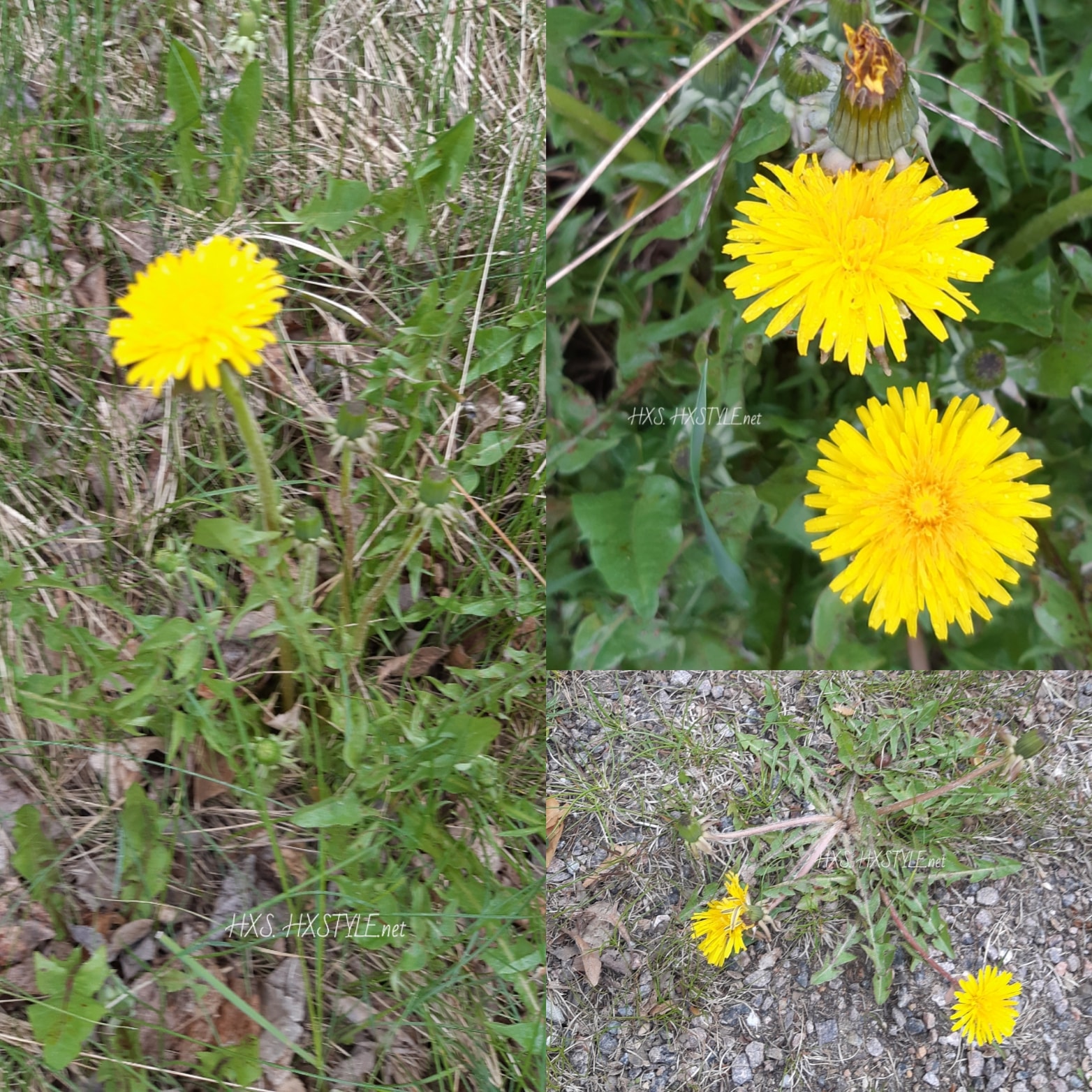 IMG_20200512_095530_821