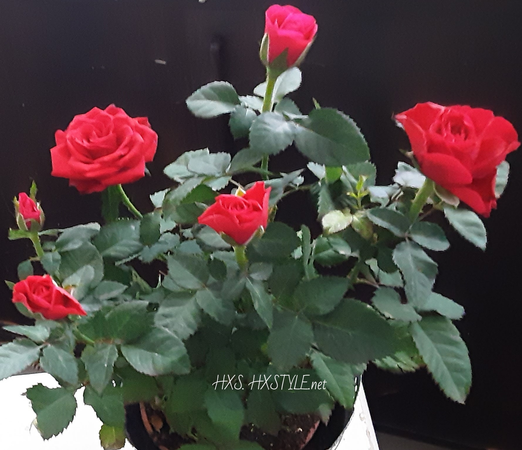 IMG_20200517_112404_092