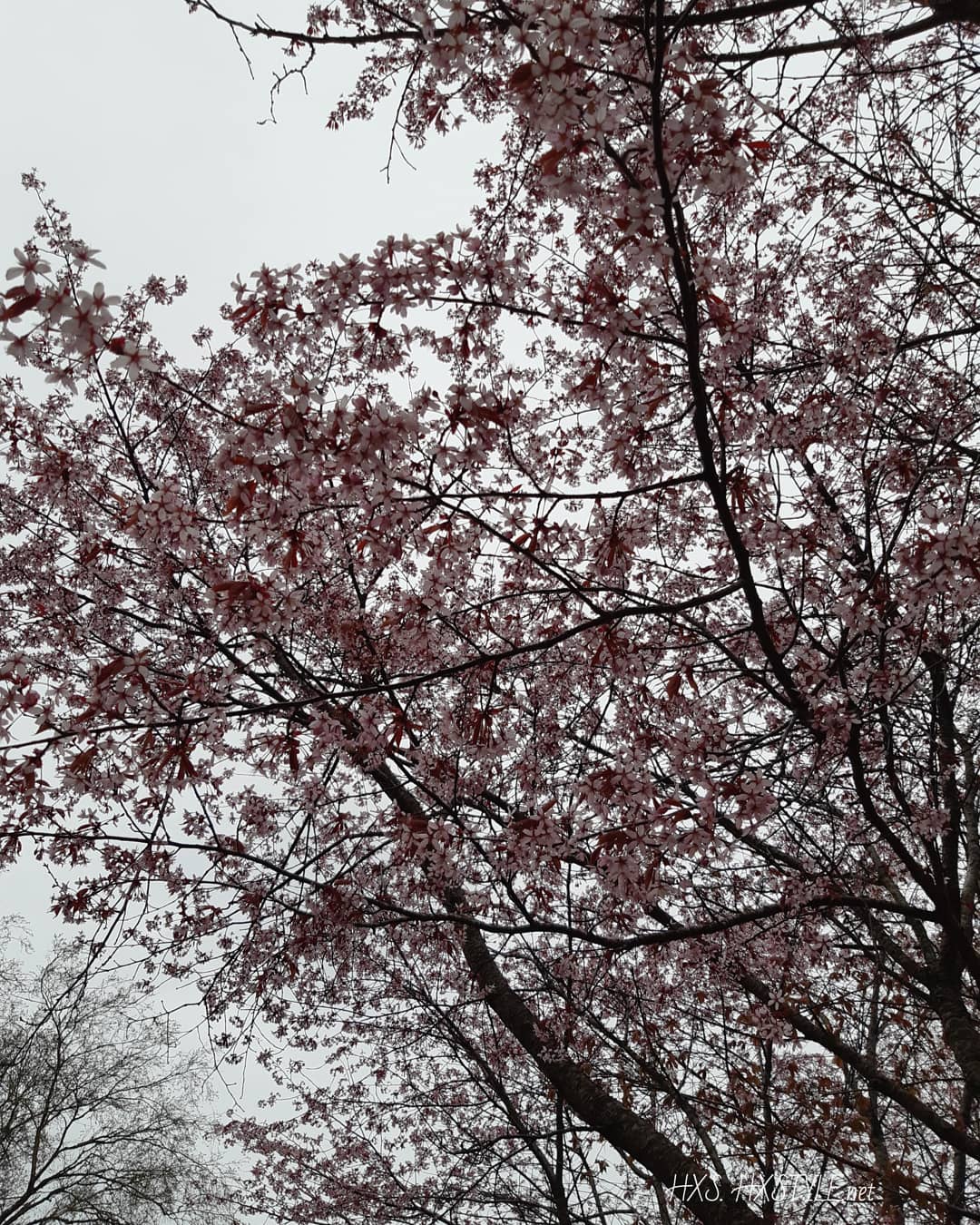 IMG_20200517_113102_303