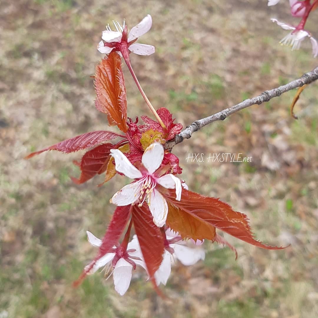 IMG_20200517_113645_811