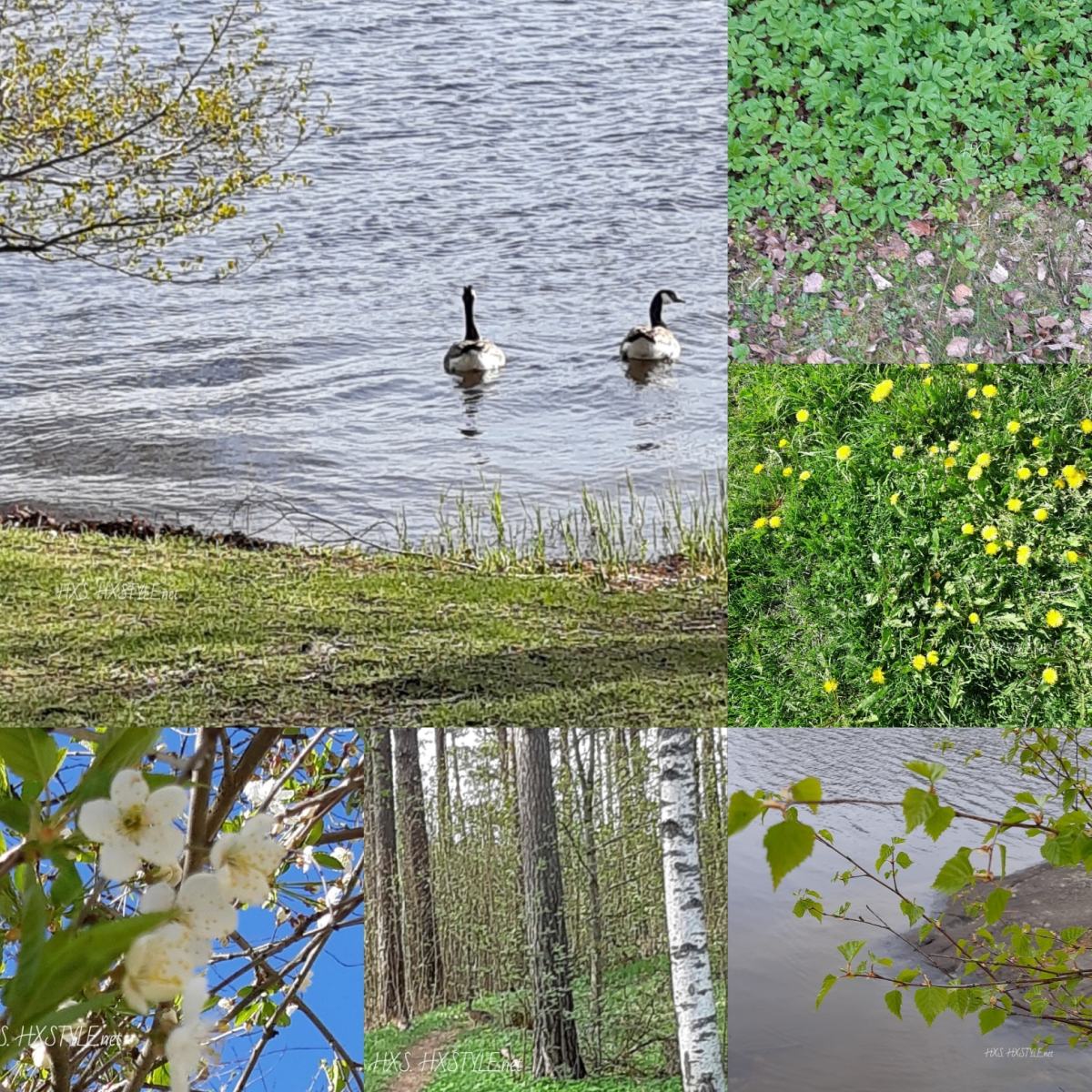 IMG_20200527_175807_311