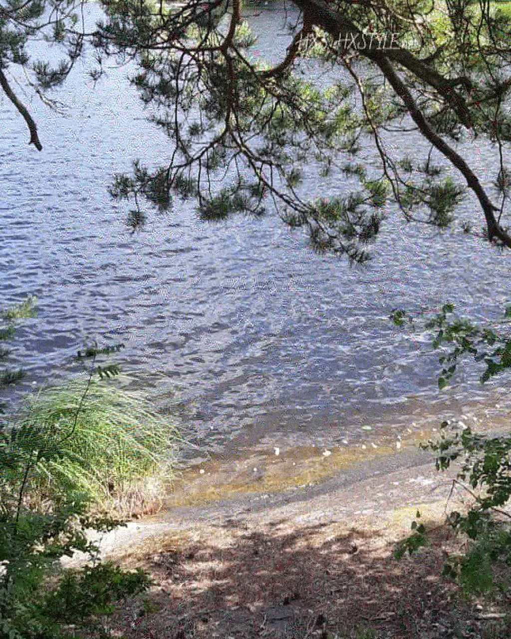 SUOMEN LUONTO& amp;ELÄIMET… RANTA. Kesä, Loppu Kesä…alku Syksy&RUSKA Aika… Ulkoilua& amp;Valokuvaus…SUOSITTU 73 krt. 24.9.2020 LIFESTYLE/Elämäntapablogi HXS.&nbsp;HXSTYLE.net