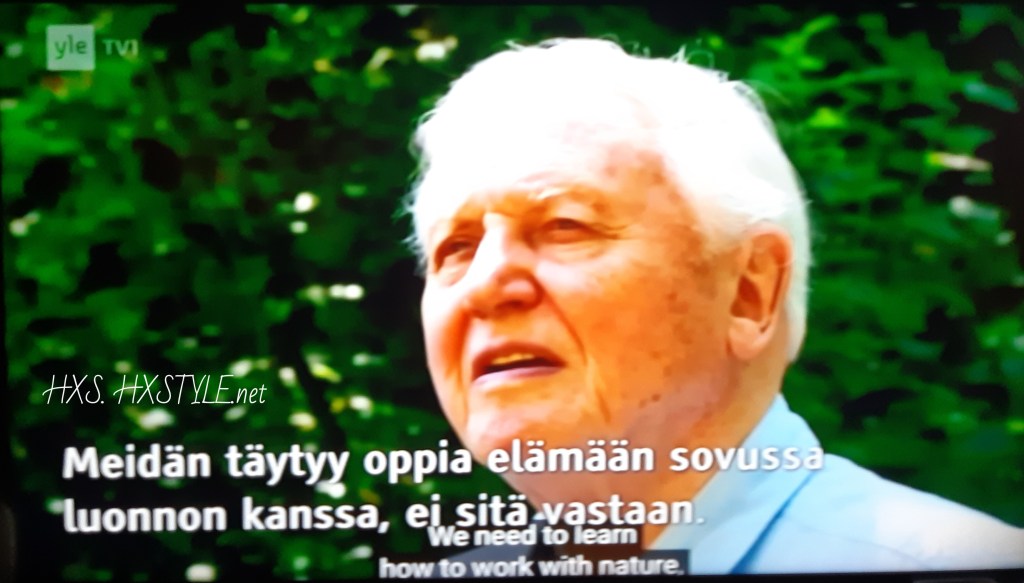 YLE TV1 Haastattelu Elokuva Dokumentti, KATSO elokuvat...