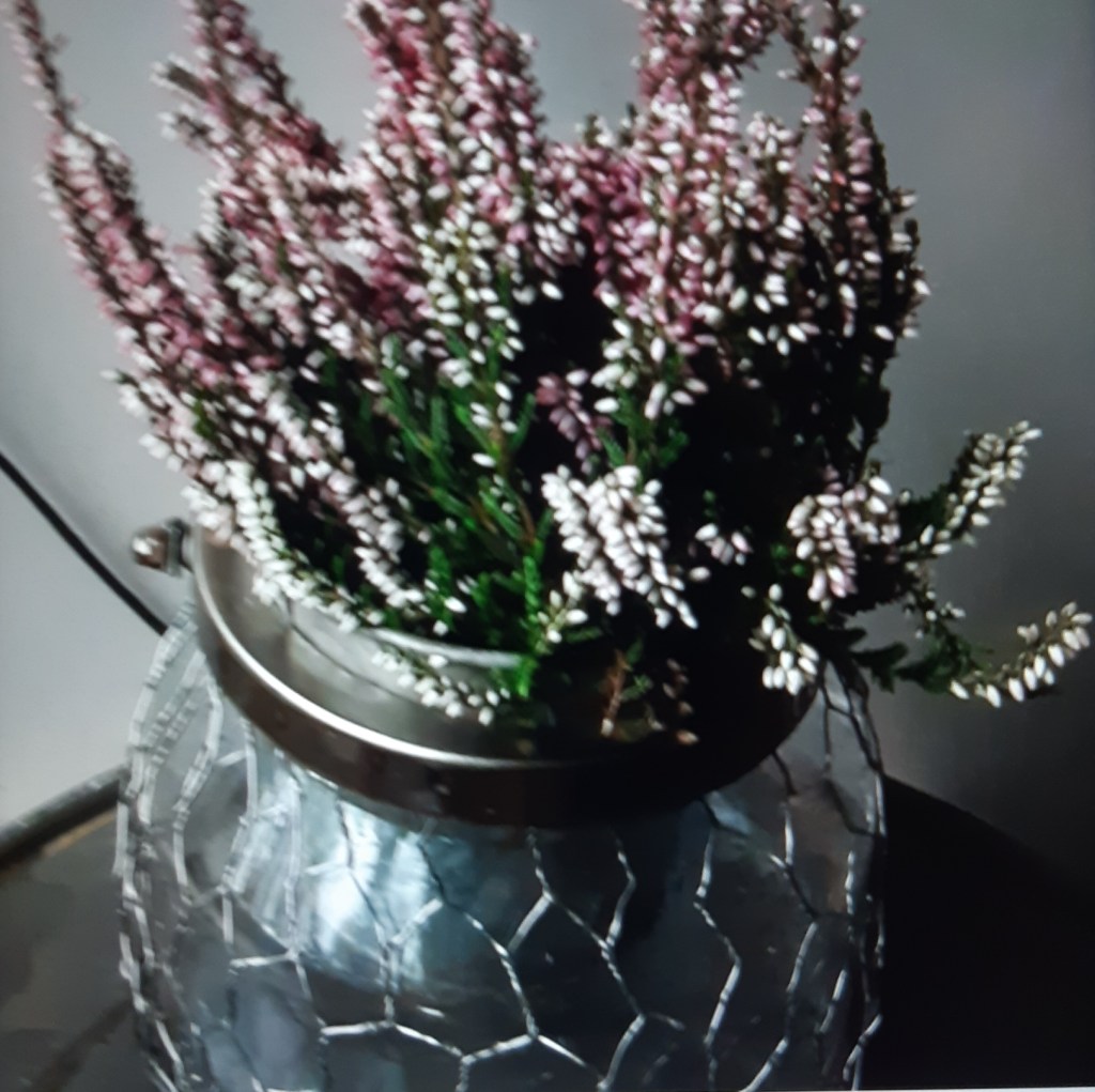 2020 KANERVAT ja uusi Lasiastiat, Kiva....