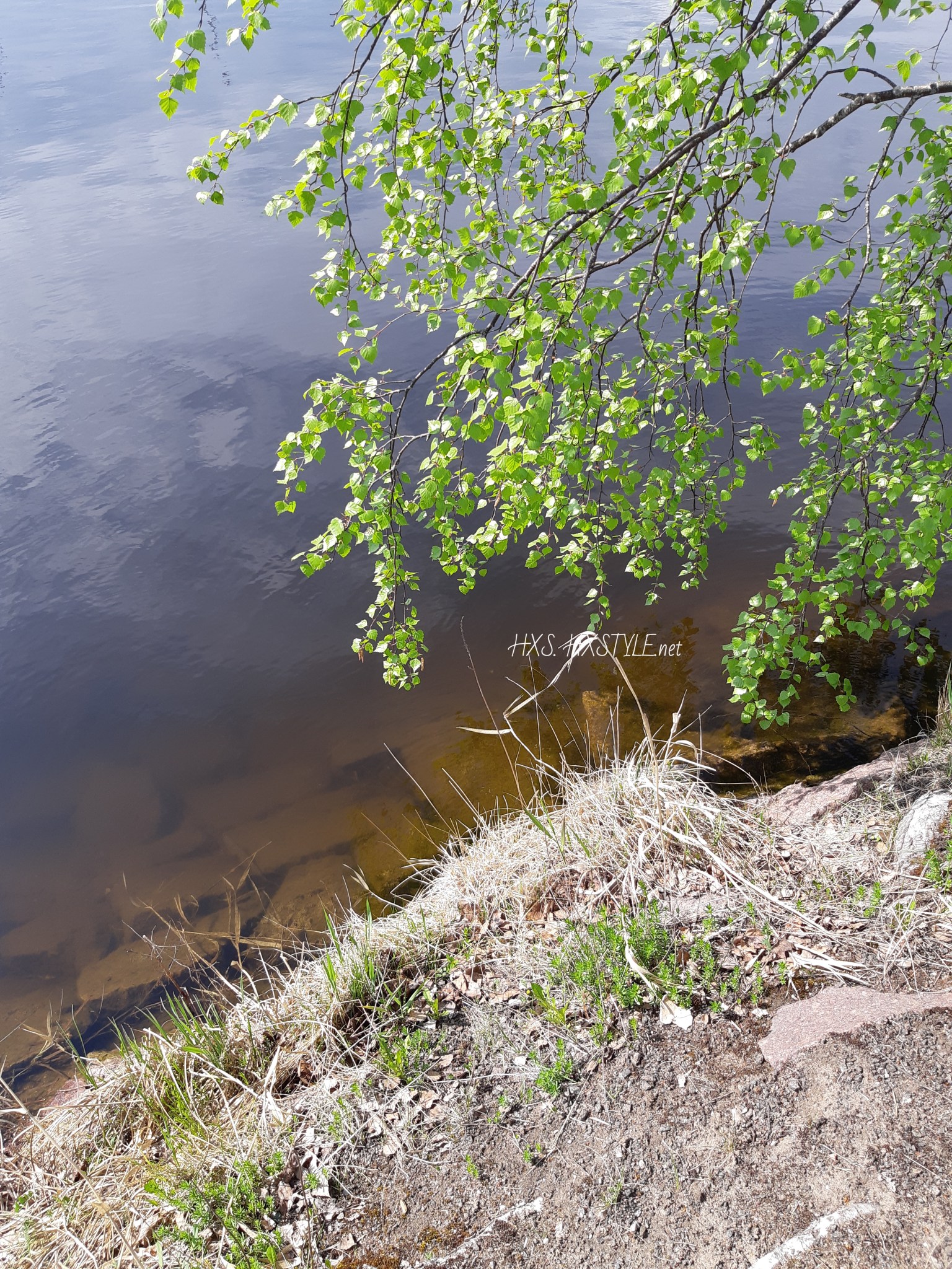 Suomen Ranta SUOMEN LUONTO, YMPÄRISTÖ. METSÄ. RANTA. ELÄIMET…SUOMI/Finland. KEVÄT ...