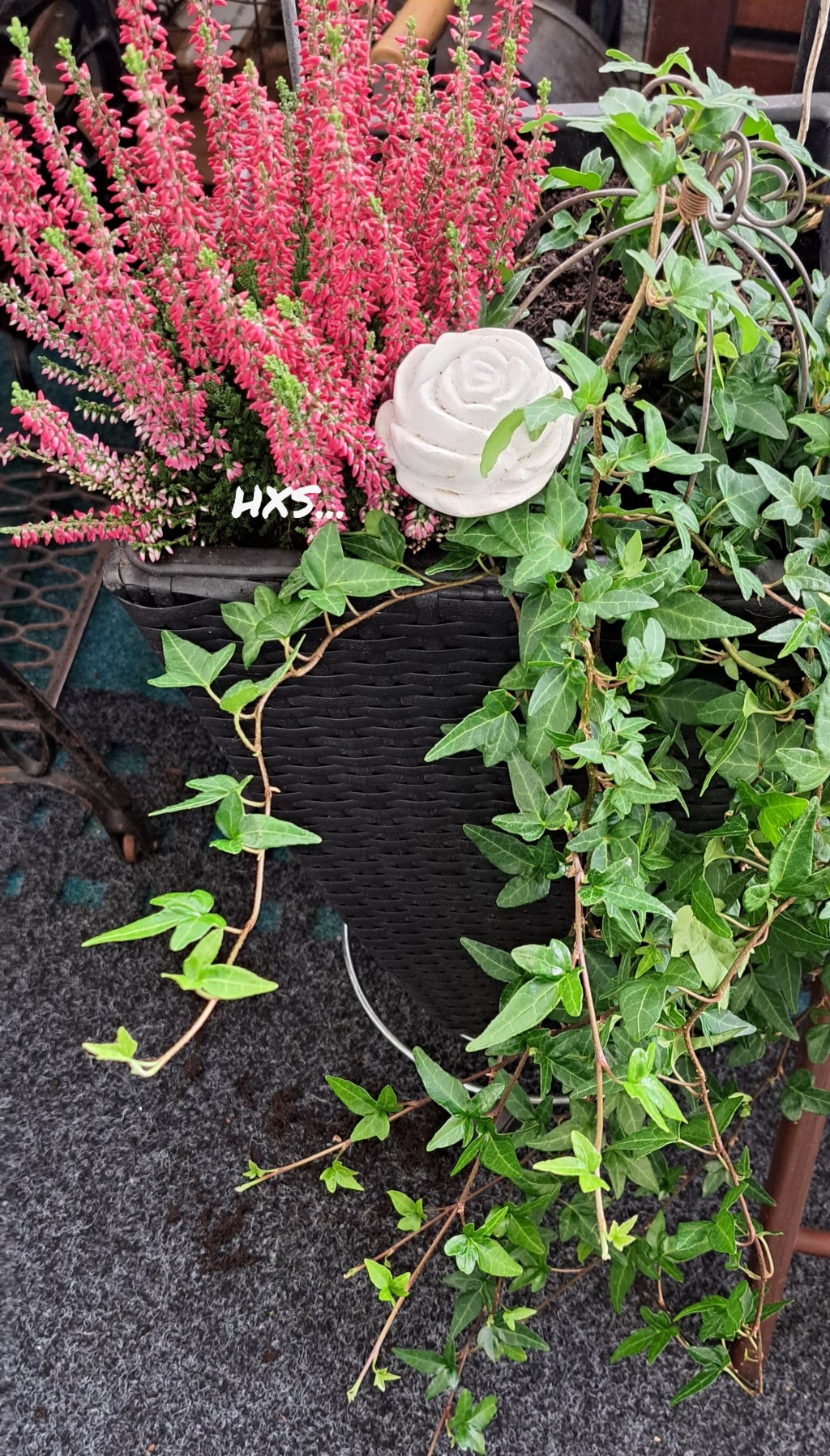KOTI&SISUSTUS. DECORATE…Sisä- ja Ulkotilat. SESONKI on vaihtunut, SYKSY/TALVI 2025. PUUTARHA/PARVEKE …Ideat&Vinkit… KUKAT&KYNTTILÄT; CALLUNAT, Kanervat ja Kasvit. SYPRESSI ja ASETELMA… OMAT SUOSIKIT&My STYLE Fall&Winter Flowers&Callunas. KATSO aiemmat ARTIKKELIT…Calm Down, Talk&Team work Need U Know2. FAVOURITE 65…29+36 Likes. 26 – 27.10.2025. LIFESTYLEBLOG HXSTYLE.net Heini