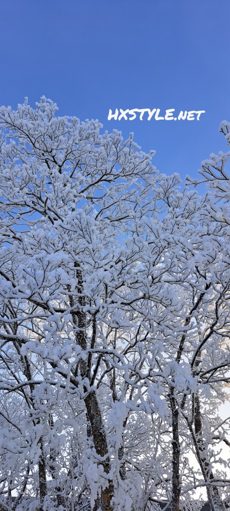 SUOMIFINLAND TALVI/WINTER. SEASONS/Vuodenajat. Nature/Luonto. CLIMATE CHANGE is VISIBLE Around World… SNOW&Snowing. WEATHER  Tempature get UP and Dowwn. Snow melts, Temparature + and – and ICE Formed. Winter Nature&Gardens are BEAUTY Winter Time2. 17. Febrerary/Helmikuu 2026. Healthy&Outsidedoor Life&Take New Photographys. LIFESTYLEBLOG HXSTYLE.net Heini