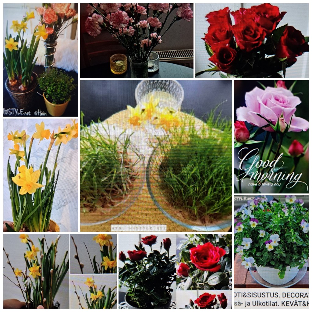 KOTI&SISUSTUS/DECORATE. Spring Winter, Spring&Sun Air…soon Lovely Easter. Lovely FLOWERS…Happy&Enjoy WOMENS DAY 8.3…My Favourite FLOWERS.  FAVOURITE 47… 29+18 Likes.           4. March/ Maaliskuuta 2026. LIFESTYLEBLOG HXSTYLE.net Heini