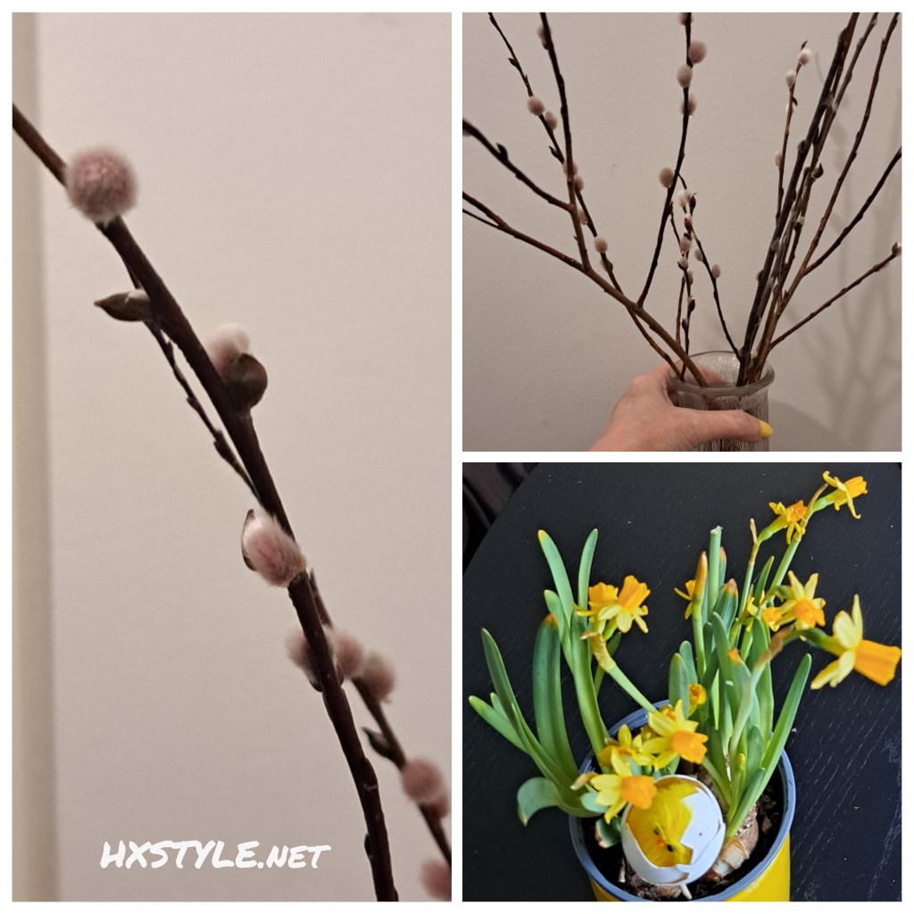 KOTI&SISUSTUS/DECORATE. KEVÄT/SPRING 2026. EASTER/ PÄÄSIÄINEN. Mini Narsessit, Rairuoho ja Ohraruoho, Pajunoksat&Koristeet. Lisään kuvia… Palmusunnuntai 26.3. PÄÄSIÄINEN  Juhla Pyhät            3 – 6.4.2026. Ihanaa&Aurinkoista PÄÄSIÄISEN AIKAA ja KEVÄTTÄ…24.3. Maaliskuu/ March 2026. LIFESTYLEBLOG HXSTYLE.net Heini