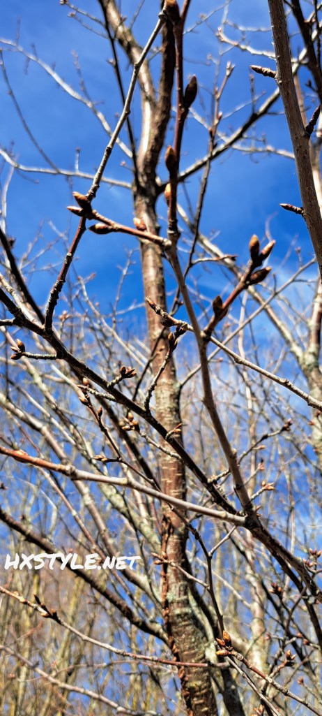 SUOMEN LUONTO&YMPÄRISTÖ. Alku KEVÄT…KEVÄT SEURANTAA ja ULKOILUA ja Liikuntaa SÄÄNNÖLLISESTI, Terveys Ongelmat Huomioiden. Ensimmäiset Pihojen Kukat Kaunokaiset, Nurmen seassa. Suomen Kevät edistyy, esim. Etelä-Suomessa eri aikaan kuin Pohjois-Suomessa. APRIL/Huhtikuu 2026. FAVOURITE 100…85 Tykkäystä. 14.4.2026. Healthy LIFESTYLEBLOG HXSTYLE.net Heini