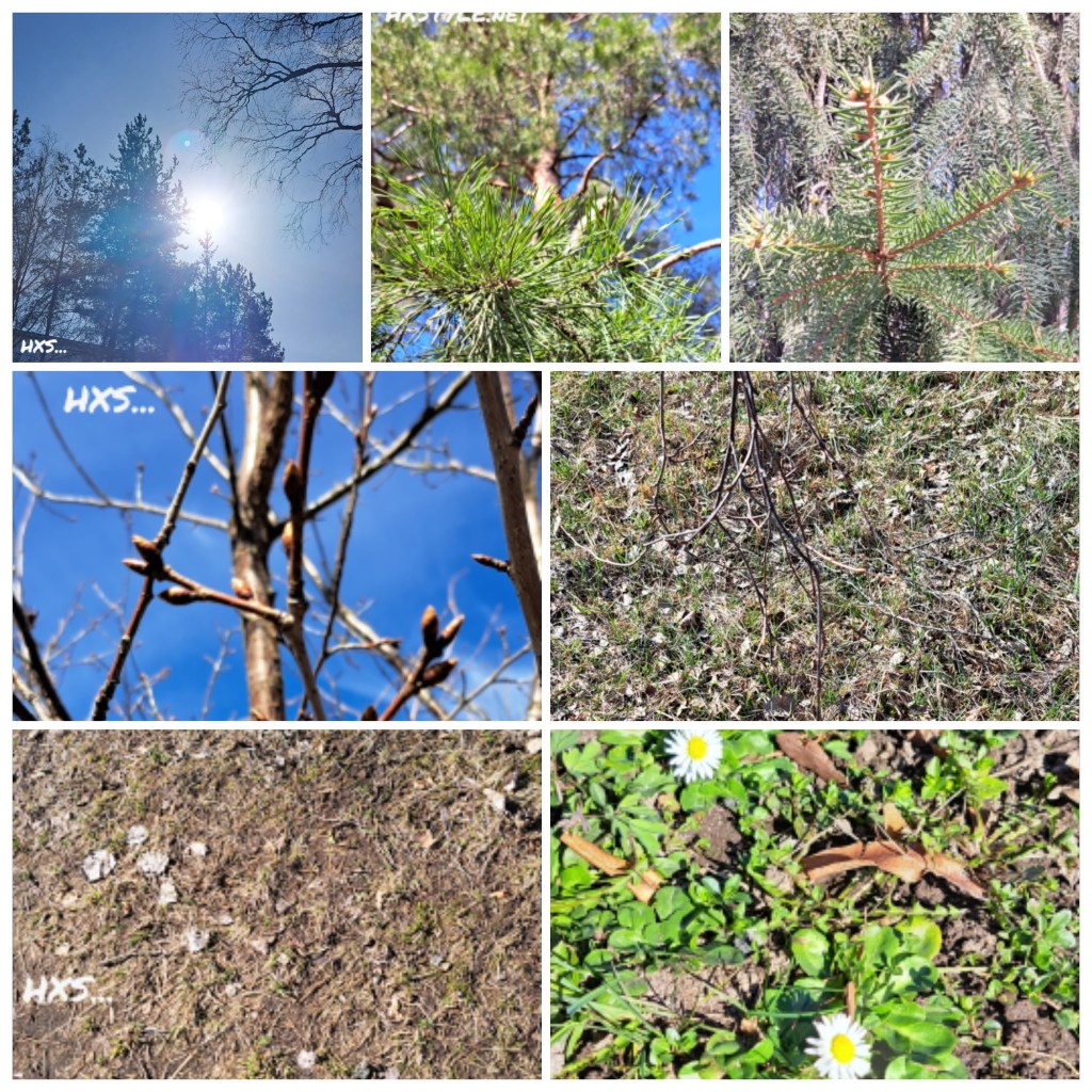 SUOMEN LUONTO&YMPÄRISTÖ. Alku KEVÄT…KEVÄT SEURANTAA ja ULKOILUA ja Liikuntaa SÄÄNNÖLLISESTI, Terveys Ongelmat Huomioiden. Ensimmäiset Pihojen Kukat Kaunokaiset, Nurmen seassa. Suomen Kevät edistyy, esim. Etelä-Suomessa eri aikaan kuin Pohjois-Suomessa. APRIL/Huhtikuu 2026. FAVOURITE 130…100…85 Tykkäystä. 14.4.2026. Healthy LIFESTYLEBLOG HXSTYLE.net Heini